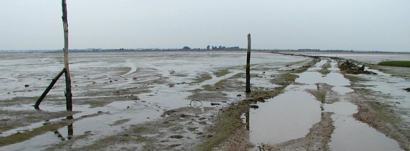 Walton on the naze