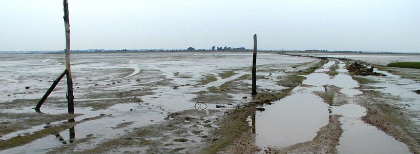 Walton on the naze